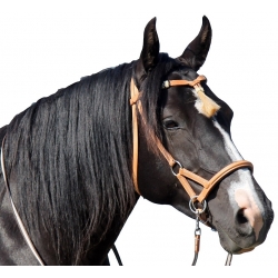 Shango Western Sidepull Bitless Bridle & Reins